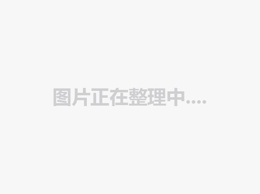 新型的外墙装饰及构件-EPS装饰线条